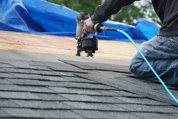 Best Roof Coating and Sealing  in Cannon Falls, MN