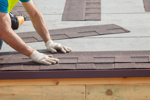 Best Roof Ventilation Installation  in Cannon Falls, MN